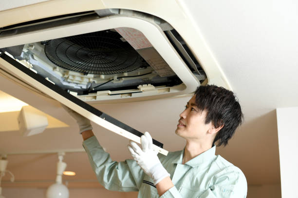 Best Home Air Vent Cleaning  in Kealakekua, HI