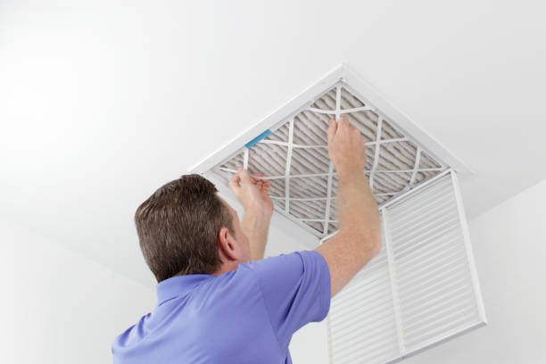 Best Air Duct Sanitizing Services  in Kealakekua, HI